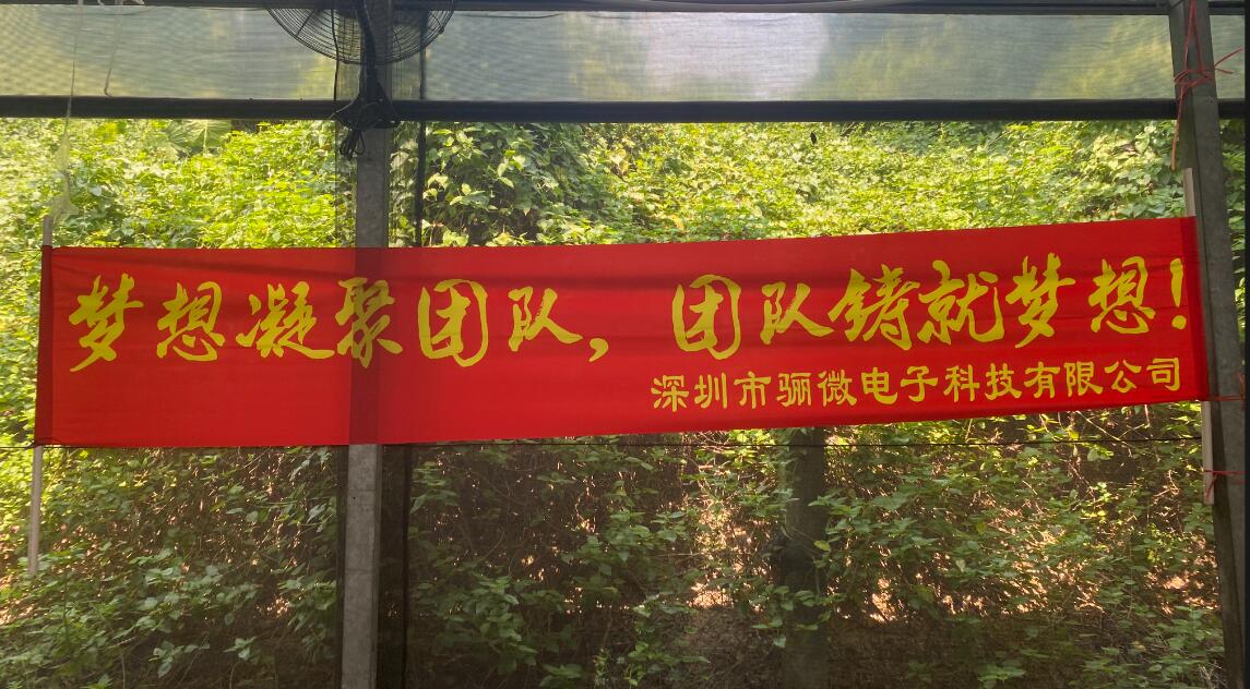 骊微团建|梦想凝聚团队,团队铸就梦想!